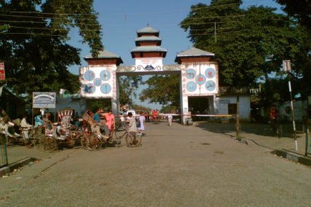 kakad vitta