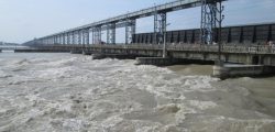 Swollen Saptakoshi River after incessant rainfall at the Koshi Barrage in Saptari-Sunsari border, on Saturday, July 23, 2016. Photo: Byas Shankar Upadhyaya