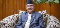kp-oli