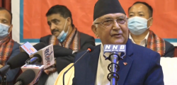 kp oli