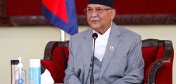 kp oli