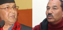 kp-oli-kamal-thapa