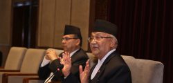 kp oli