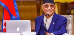 kp oli