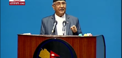 kp oli