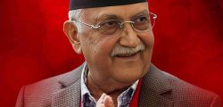 kp oli