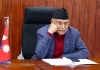 kp-oli-sad