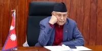 kp-oli-sad