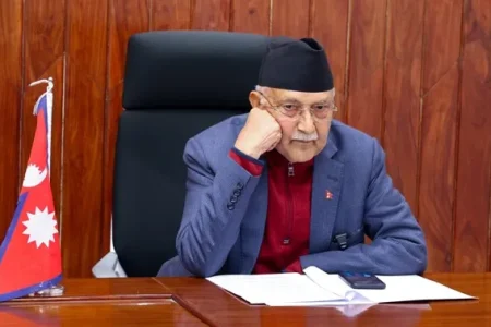 kp-oli-sad