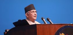 kp oli