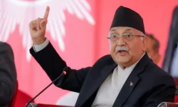 kp-oli1679045615