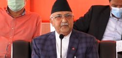 kp_oli