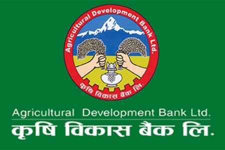 krisi bikas bank