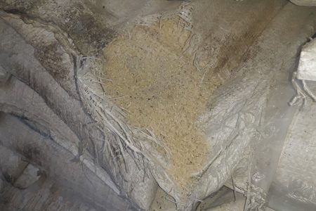 kuhiyako-chamal