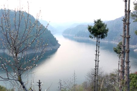 kulekhani