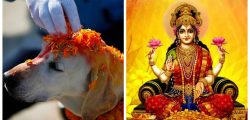 laxmi puja and kukur tihar