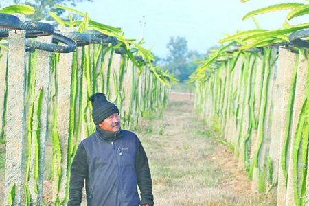 lokendra-bista-magar-1512020054959-1000x0-1