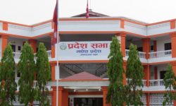 madhesh-pradesh-sabha-