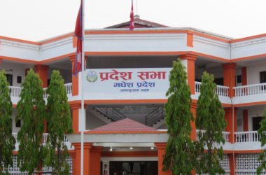 madhesh-pradesh-sabha-