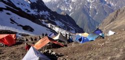 Tents installed by the yarsa pickers are seen in Manang district in July, 2016. Photo: Ramji Rana