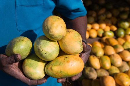 mango-vendor-594351209-c1b9f448598341f1ae8c65720e212311