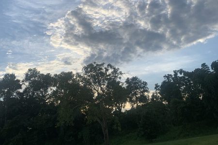 mausam-p-750x375@2x