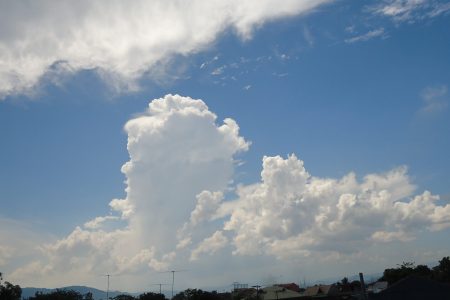 mausam