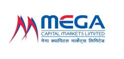 mega-capital