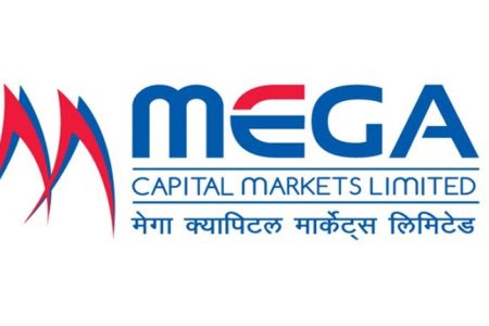 mega-capital