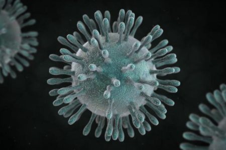 corona virus