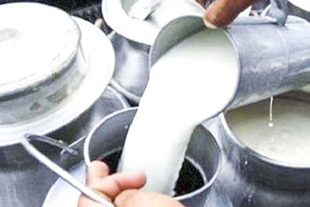 milk2022-02-02-06-25-54