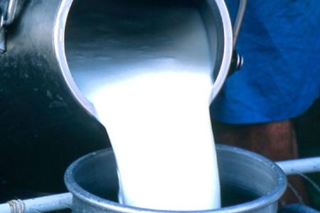 milk_collecting