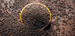 mustard-seeds