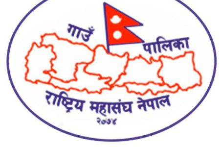 narmin_logo
