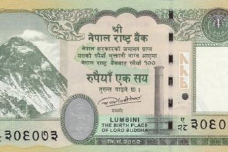 nepali-currency-with-Ashokan-Pillar-1