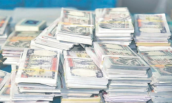 nepali paisa
