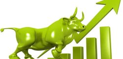 nepse-bull