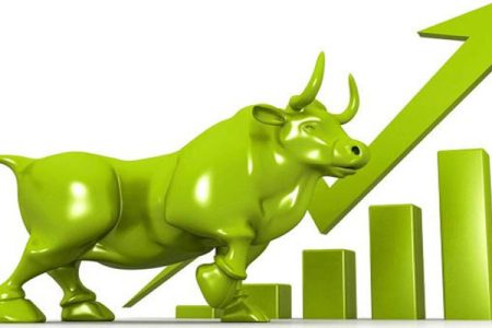 nepse-bull