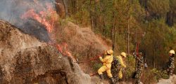 Members of Nepal's army try to control a forest fire at Shivapuri National Park overlooking Kathmandu, as forest fires have raged many areas in Nepal contributing to worst air quality in the bowl shaped Kathmandu, Nepal April 11, 2021. REUTERS/Navesh Chitrakar