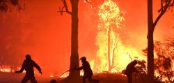 nz_bushfire_051219