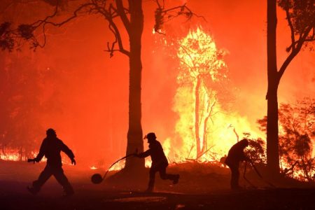 nz_bushfire_051219