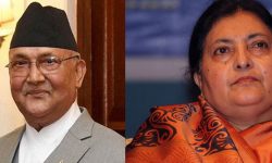 oli_bidhya