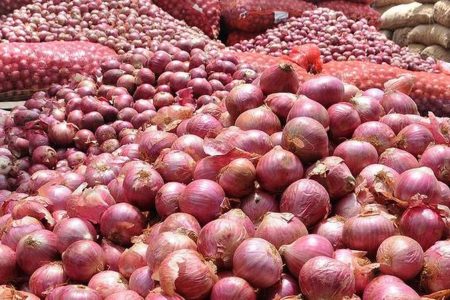 onion-1