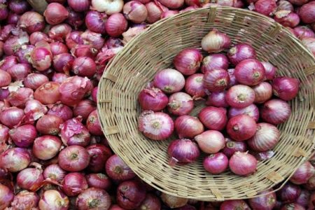onion-1575483546