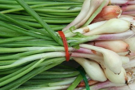 onion