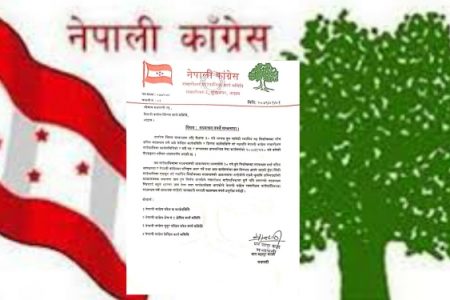 palika-b.jpg