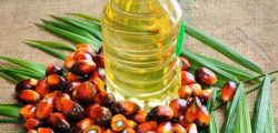 palmoil-580x435