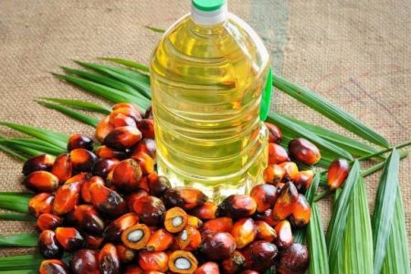 palmoil-580x435