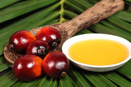 20751856 - oil palm fruits and a plate of cooking oil on leaves background