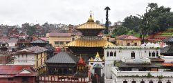 pashupati